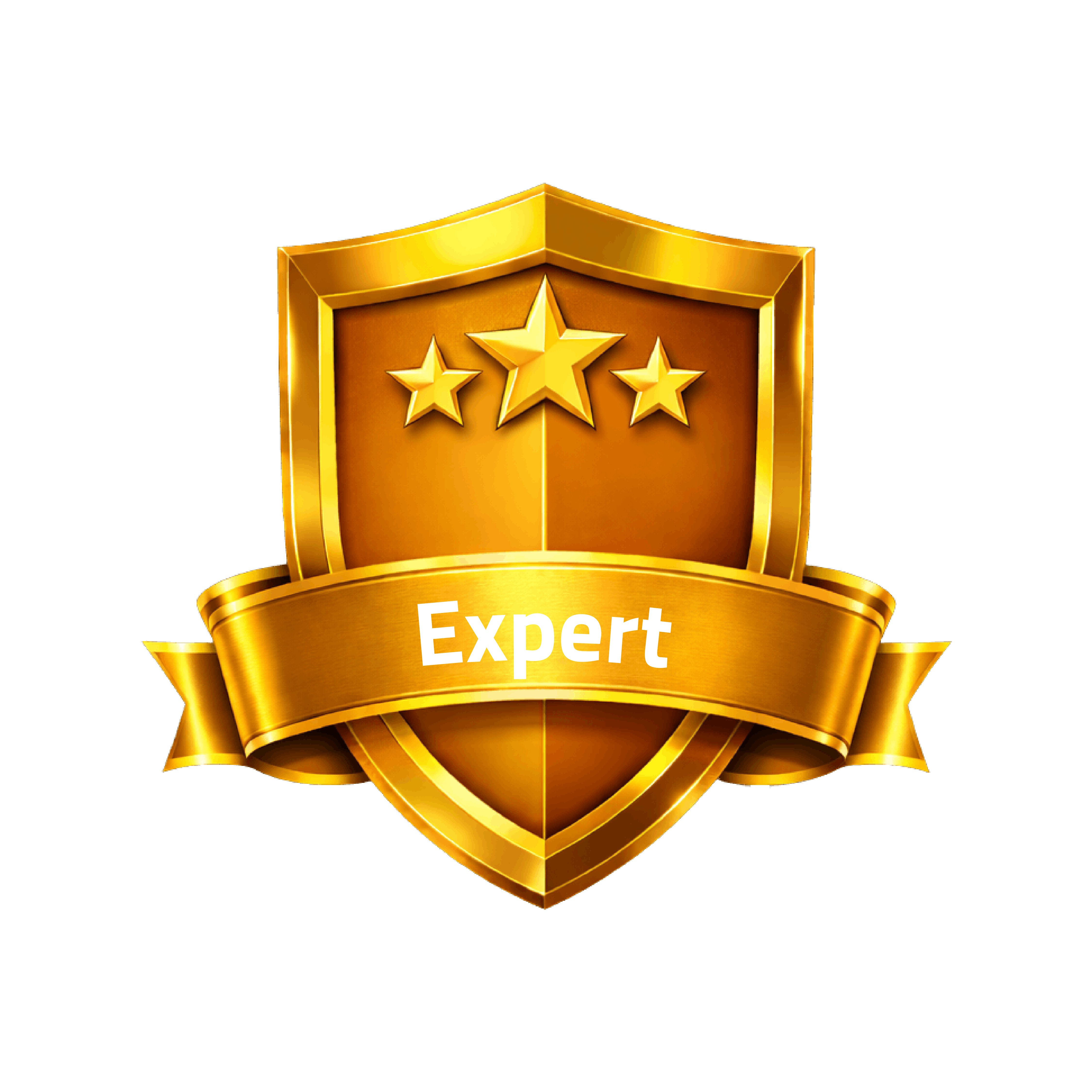 Expert